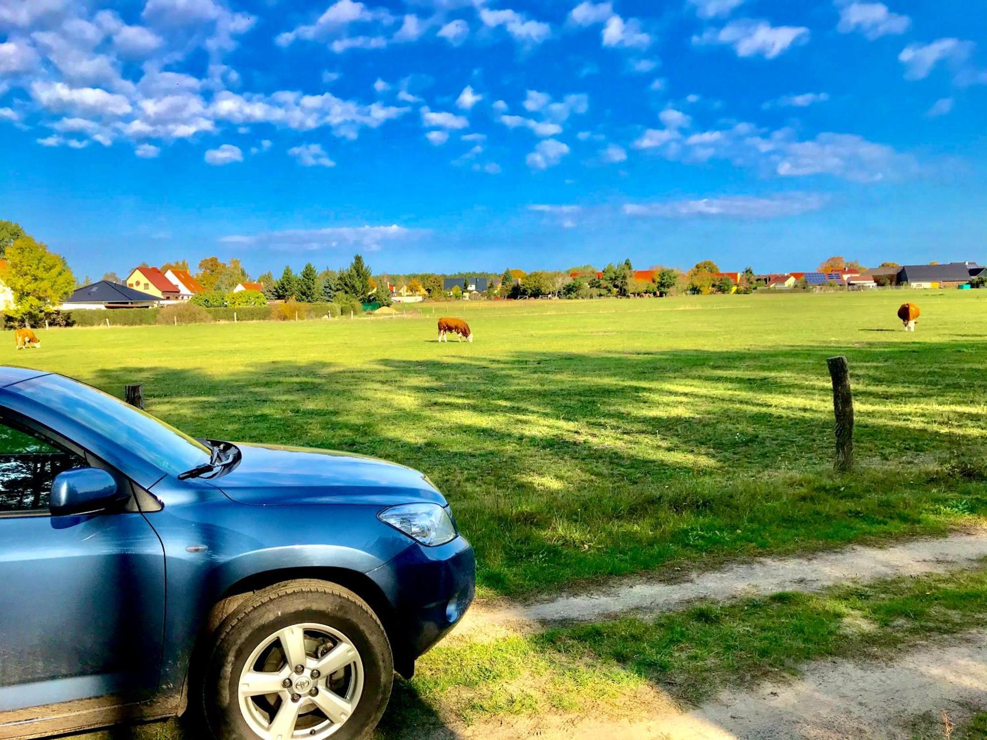Top-Moderne Ferienwohnung Und Apartments Auf Frueherem Wunderschoenen Bauernhof Im Elbe-Elster-Kreis In Brandenburg Bei Herzberg-Elster, Schoenewalde, Holzdorf Dış mekan fotoğraf