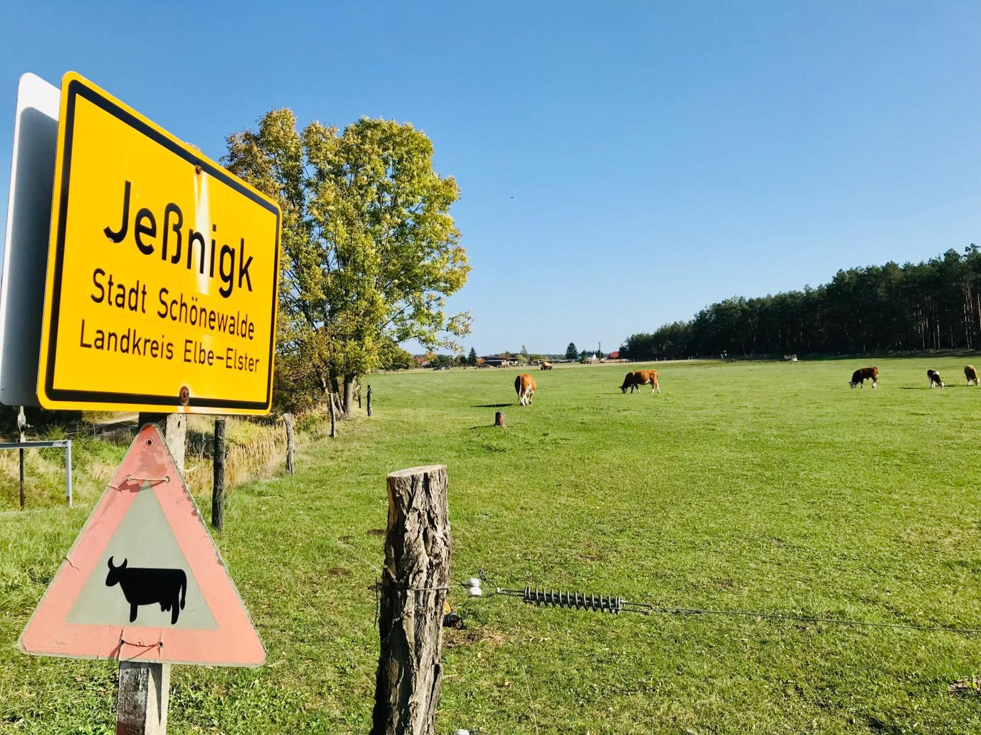 Top-Moderne Ferienwohnung Und Apartments Auf Frueherem Wunderschoenen Bauernhof Im Elbe-Elster-Kreis In Brandenburg Bei Herzberg-Elster, Schoenewalde, Holzdorf Dış mekan fotoğraf