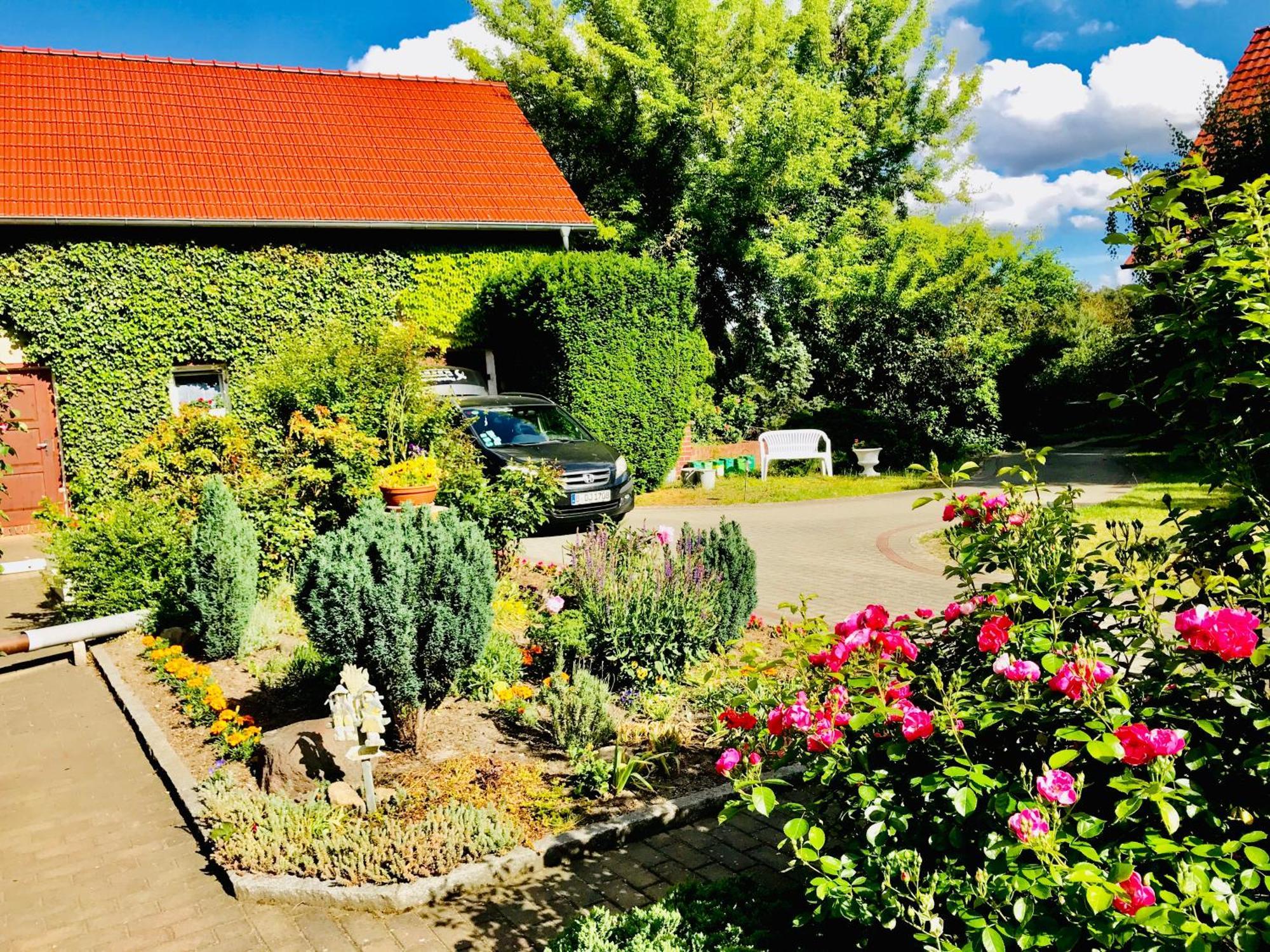 Top-Moderne Ferienwohnung Und Apartments Auf Frueherem Wunderschoenen Bauernhof Im Elbe-Elster-Kreis In Brandenburg Bei Herzberg-Elster, Schoenewalde, Holzdorf Dış mekan fotoğraf